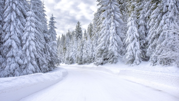 Tipps für die Einwinterung Ihres geliebten Can-Am: Auf in den Winterschlaf!